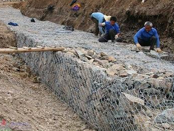 生態石籠網 生態石籠網