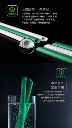 以自然為筆，鐫刻時代之美 偉星產品廣告設計海報的魅力解析